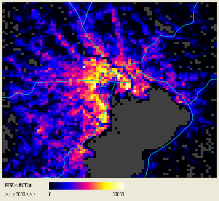 Population Characteristics - Tokyo Mega City